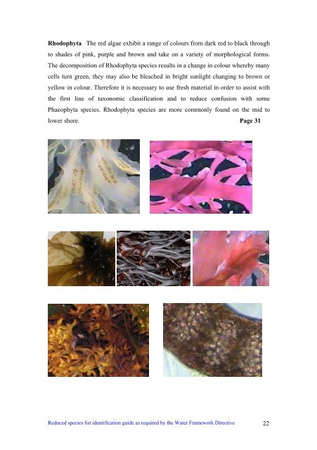 s A Field Guide to the British Seaweeds - NMBAQC