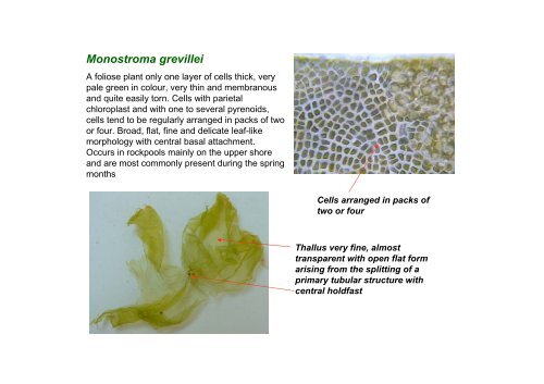 s A Field Guide to the British Seaweeds - NMBAQC