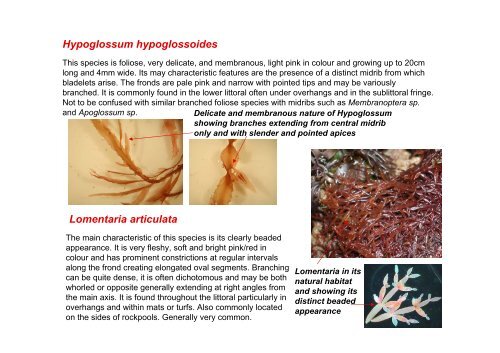 s A Field Guide to the British Seaweeds - NMBAQC