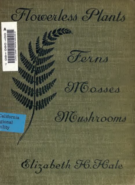 Flowerless Plants Ferns Mushrooms Mosses Lichens And Seaweeds