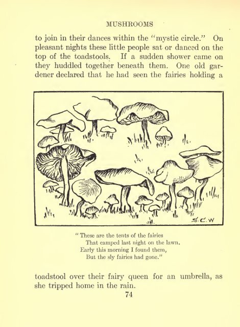 Flowerless plants; ferns, mushrooms, mosses, lichens, and seaweeds