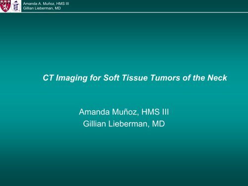 CT Imaging for Soft Tissue Tumors of the Neck