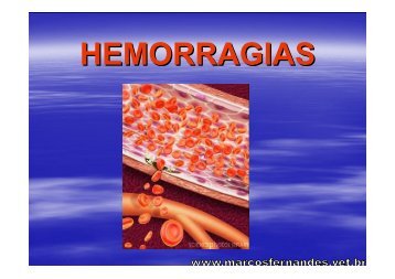 HEMORRAGIAS - Portal Marcos Fernandes