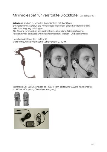 pdf (80KB) - Blockflöte und elektronische Verstärkung