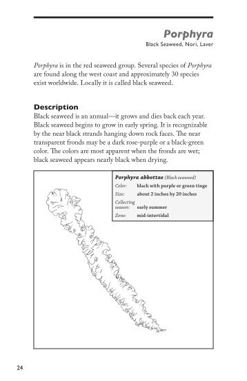 Common Edible Seaweeds in the Gulf of Alaska - Alaska Sea Grant ...