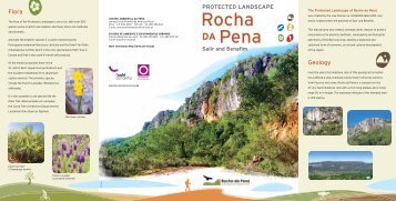 Rocha DA Pena - Câmara Municipal de Loulé