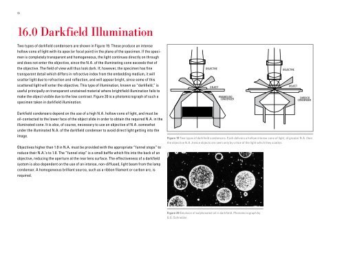 The Theory of the Microscope - Leica Microsystems