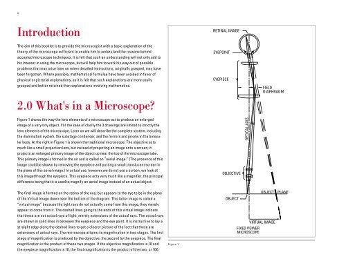 The Theory of the Microscope - Leica Microsystems