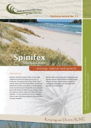 Spinifex - ecology - Dune Restoration Trust