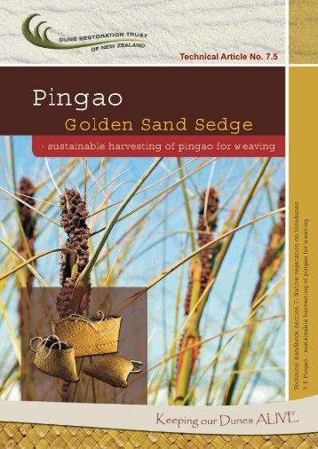 Pingao sustainability for weaving - Dune Restoration Trust