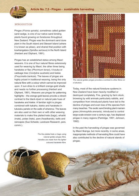 Pingao sustainability for weaving - Dune Restoration Trust