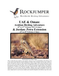 UAE & Oman: - Rockjumper Birding Tours