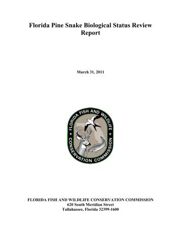 Florida Pine Snake Biological Status Review Report - Florida Fish ...