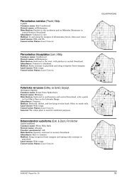 Pterocelastrus rostratus (Thunb.) Walp. Pterocelastrus ... - SABONET