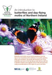 The butterflies and moths of Northern Ireland - Butterfly Conservation