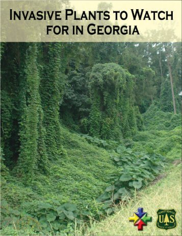 Invasive Plants to Watch for in Georgia - Georgia Invasive Species ...