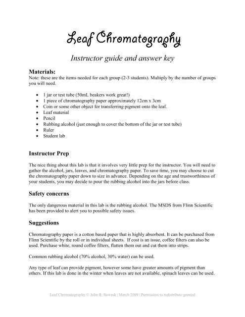 Leaf Chromatography Leaf Chromatography