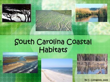 South Carolina Landforms - COSEE