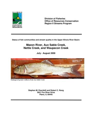 Mazon River, Aux Sable Creek, Nettle Creek, and ... - Fishing in Illinois