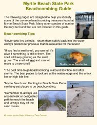 Myrtle Beach State Park Beachcombing Guide - South Carolina Parks