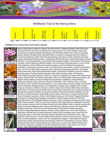 Wildflowers of the Harvey Shire - Yarloop Workshops