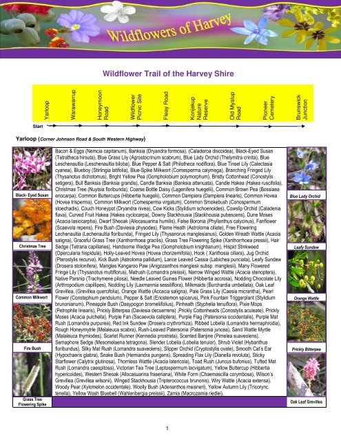 Wildflowers of the Harvey Shire - Yarloop Workshops