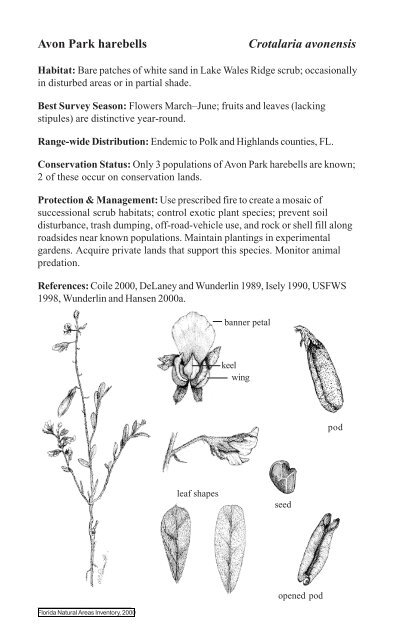 AVON PARK HAREBELLS - Florida Natural Areas Inventory