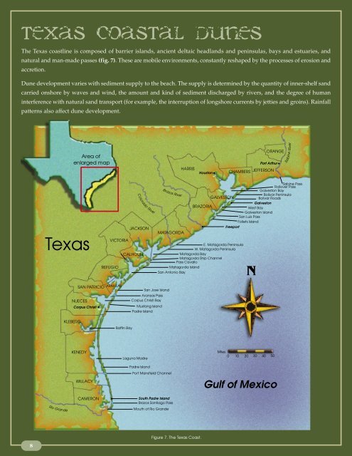 Texas Coastal Dunes - Texas Coastal Erosion Data Network