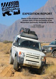 Status of the Arabian leopard - Biosphere Expeditions