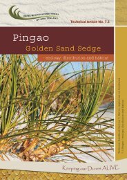 Pingao - ecology - Dune Restoration Trust