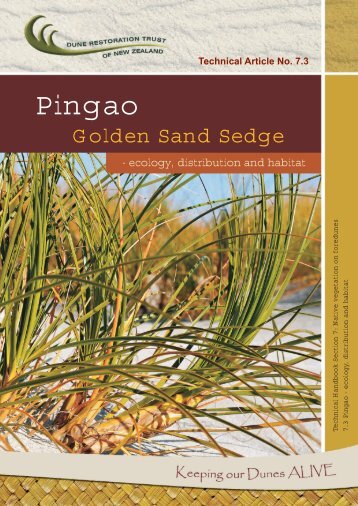 Pingao - ecology - Dune Restoration Trust