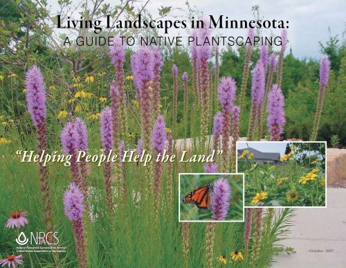 Living Landscapes in Minnesota: - Minnesota NRCS - US ...