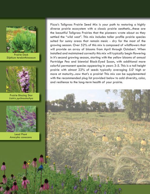 PIZZO NATIVE SEED MIXES - Pizzo & Associates, Ltd.