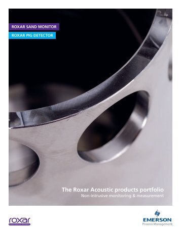 The Roxar Acoustic products portfolio - Emerson Process ...