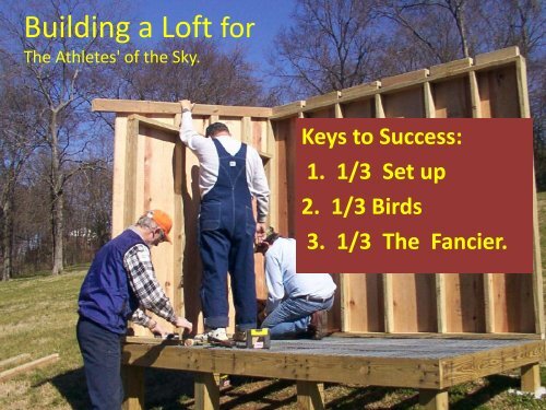 BUILDING A LOFT - American Racing Pigeon Union