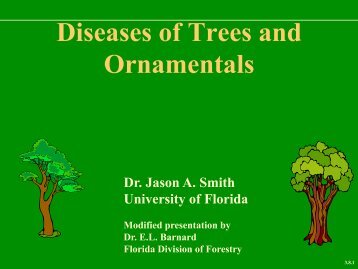 PDF of a General Tree Disease Presentation - University of Florida