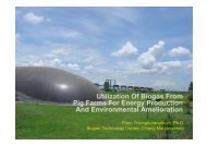 Utilization Of Biogas From Pig Farms For Energy Production ... - SSWM