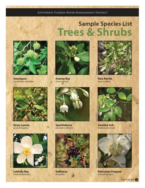 trees & shrubs - Southwest Florida Water Management District