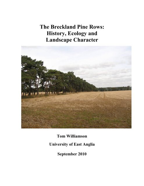 The Breckland Pine Rows - Norfolk's Biodiversity