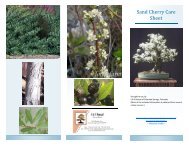 Sand Cherry Care Sheet