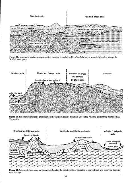 Soil Report - Agriculture et Agroalimentaire Canada