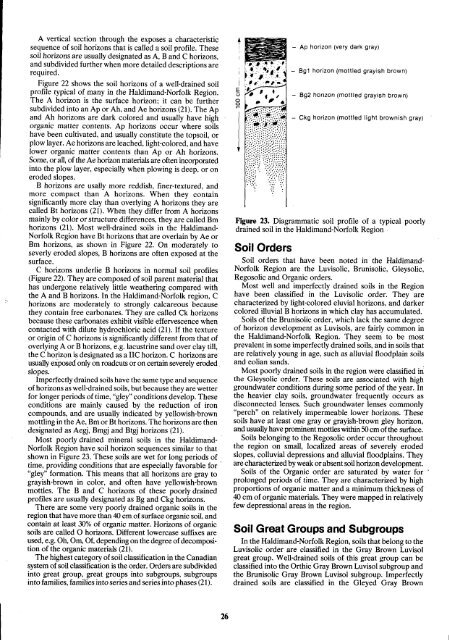 Soil Report - Agriculture et Agroalimentaire Canada