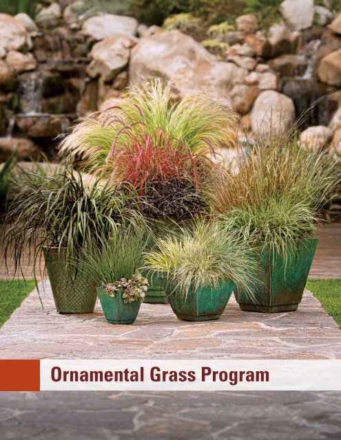 Ornamental Grass Program