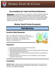 Salt Marshes Lesson Plan - Deering Estate at Cutler