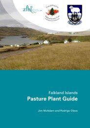 Falkland Islands Pasture Plant Guide - Agri-Food and Biosciences ...