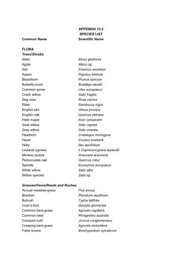 APPENDIX 13.2 SPECIES LIST Common Name Scientific Name ...