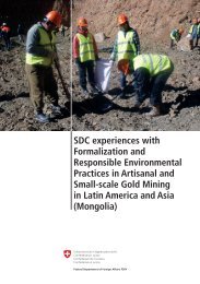 SDC experiences with Formalization and Environmental Practices in