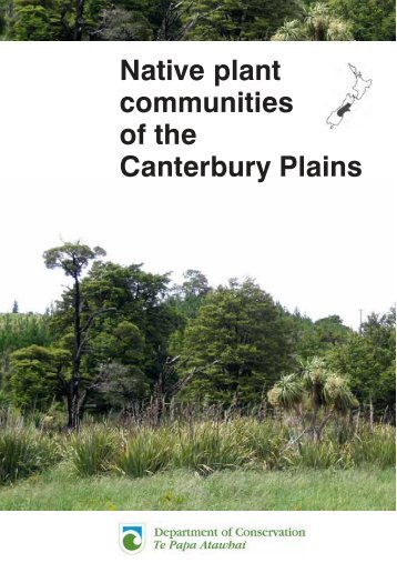 Canterbury Plains - Ashburton District Council