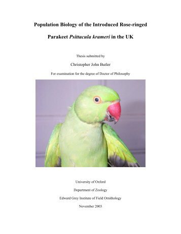Population Biology of the Introduced Rose-ringed Parakeet ...