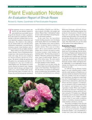 Issue 11 -Shrub roses. pdf - Chicago Botanic Garden